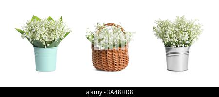 Blumensträuße von wunderschönen Maiglöckchen, isoliert auf weiß, gesetzt Stockfoto