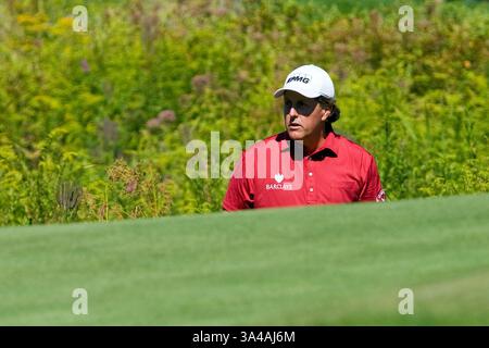 30. August 2014 - Norton, Massachusetts, USA - 30. August 2014: Phil Mickelson sucht seinen Ball in der Nähe des 18. Lochs während der zweiten Runde der Deutschen Bank Championship bei TPC Boston. Anthony Nesmith/CSM(Bild: © Anthony Nesmith/Cal Sport Media/ZUMAPRESS.com) Stockfoto