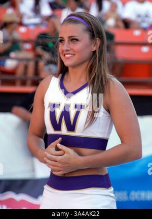 30. August 2014 - Honolulu, HI, USA - 30. August 2014 - Ein Husky-Cheerleader während einer Aktion zwischen den Hawaii Rainbow Warriors und den Washington Huskies auf Hawaiian Airlines Field im Aloha Stadium in Honolulu, Hawaii. (Bild: © Michael Sullivan/Cal Sport Media/ZUMAPRESS.com) Stockfoto