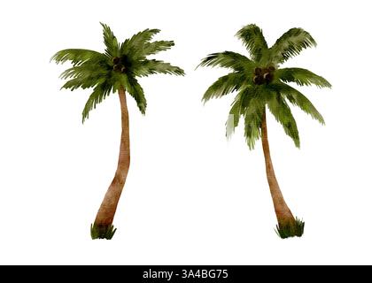 Diese wunderschöne Aquarellillustration zeigt zwei Palmen und ist somit perfekt für tropische Designs. Isolierte Aquarellgrafik auf weißem Hintergrund für tropisches Design. Stockfoto