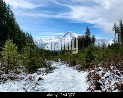 Der schneebedeckte Cascade Whitehorse Mountain im Winter mit immergrünen Bäumen im Vordergrund Stockfoto