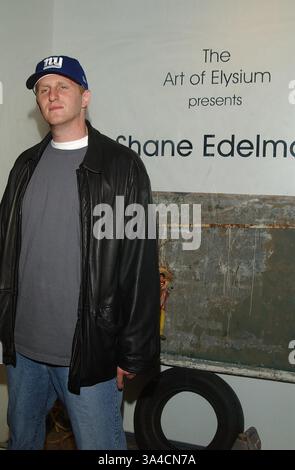 30. März 2002 - Hollywood, CA, USA - K24567AG: MICHAEL RAPAPORT und BRAD ROWE wird HOST '' Fundstücke '' und exklusive Ausstellung der Multi-Media-Arbeit der Schauspieler/Autor/Regisseur/Künstler SHANE EDELMAN. DON O'MELVENEY GALLERY, BEVERLY HILLS, CA 03/30/2002.MICHAEL RAPARORT. AMY GRÄBER / 2002. (D) (Kredit-Bild: © Globe Photos/ZUMAPRESS.com) Stockfoto
