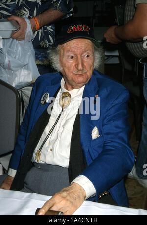10. April 2002 - Hollywood, CA, USA - K24638EG: HOLLYWOOD Sammler zeigen. HOTEL BEVERLY GARLAND, NORTH HOLLYWOOD, CA 04/06/2002.AL '' OPA '' LEWIS. POTO von ED GELLER / 2002 (Kredit-Bild: © Globe Photos/ZUMAPRESS.com) Stockfoto