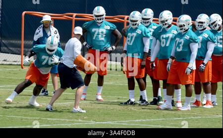 23. Mai 2014: DAVIE, FL, USA - Miami Dolphins Rookie Defensive Tackle Anthony Johnson, links, führt eine Übung durch, während die Teamkollegen am ersten Tag des Rookie Minicamps an der Nova Southeastern University in DAVIE, Florida, am Freitag, den 23. Mai 2014 auf dem Laufenden sind. (Kreditbild: © Taimy Alvarez/MCT/ZUMAPRESS.com) Stockfoto
