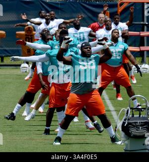 23. Mai 2014 - DAVIE, FL, USA - Miami Dolphins Rookie Defensive Tackle Micajah Reynolds (98) und andere Rookies wärmen sich am Freitag, den 23. Mai 2014, vor Beginn ihres ersten Workouts während des Rookie Minicamps an der Nova Southeastern University in DAVIE, Florida, auf. (Kreditbild: © Taimy Alvarez/MCT/ZUMAPRESS.com) Stockfoto