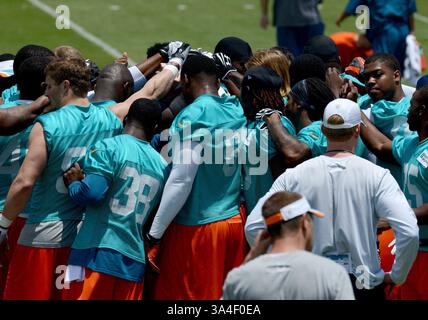 23. Mai 2014 - DAVIE, FL, USA - Miami Dolphins Rookie-Rookie treffen sich am Freitag, den 23. Mai 2014, zu Beginn des ersten Tages des Rookie Minicamps an der Nova Southeastern University in DAVIE, Florida. (Kreditbild: © Taimy Alvarez/MCT/ZUMAPRESS.com) Stockfoto