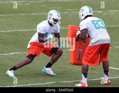 23. Mai 2014 - DAVIE, FL, USA - die Miami Dolphins Jarvis Landry und Matt Hazel (83) führen am ersten Tag des Rookie Minicamps an der Nova Southeastern University in DAVIE, Florida, am Freitag, den 23. Mai 2014 Übungen durch. (Bild: © Charles Trainor Jr/MCT/ZUMAPRESS.com) Stockfoto