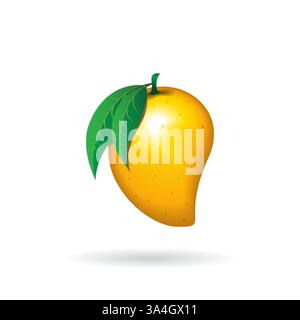 Mangofrucht auf weißem Hintergrund Stock Vektor