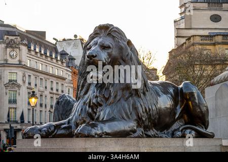 Die majestätische Löwenstatue von Sir Edwin Landseer steht am Trafalgar Square und zeigt beeindruckende Handwerkskunst. Besucher bewundern ihre Pracht, während die Sonne in London untergeht und eine atemberaubende Kulisse bietet. Stockfoto