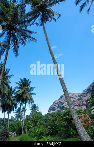 Ein üppiger Dschungelpfad durch das Hakaui-Tal, Nuku Hiva, die Marquesas-Inseln und Französisch-Polynesien. Majestätische Basaltklippen und dichte Vegetation umgeben die Tra Stockfoto