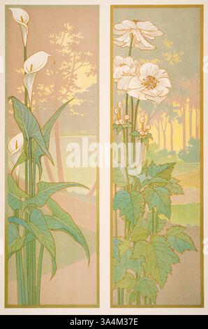 Calla und Anemone Lily und Anemone Blumen, flache Innenverkleidung, von dem französischen Künstler und Illustrator Charles Martin von Decorative Vorbil Stockfoto
