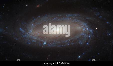 4. September 2013 - über 110 Millionen Lichtjahre von der Erde entfernt im Sternbild Antlia (Luftpumpe) befindet sich die Spiralgalaxie IC 2560, die hier in einem Bild des NASA/ESA Hubble Space Telescope gezeigt wird. In dieser Entfernung ist sie eine relativ nahe gelegene Spiralgalaxie und Teil des Antlia-Haufens, einer Gruppe von über 200 Galaxien, die durch die Schwerkraft zusammengehalten werden. Dieser Sternhaufen ist ungewöhnlich; im Gegensatz zu den meisten anderen Galaxienhaufen scheint er keine dominante Galaxie zu haben. In diesem Bild sind die Spiralarme und die Sperrstruktur des IC 2560 leicht zu erkennen. Diese Spirale ist das, was Astronomen eine Seyfert-2-Galaxie nennen Stockfoto