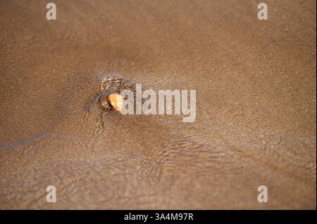 Runder Stein auf glattem Sand entlang der marokkanischen Küste unter hellem Sonnenlicht Stockfoto