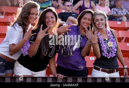 30. August 2014 - Honolulu, HI, USA - 30. August 2014 - Husky-Fans während der Action zwischen den Hawaii Rainbow Warriors und den Washington Huskies auf Hawaiian Airlines Field im Aloha Stadium in Honolulu, Hawaii. (Bild: © Michael Sullivan/Cal Sport Media/ZUMAPRESS.com) Stockfoto