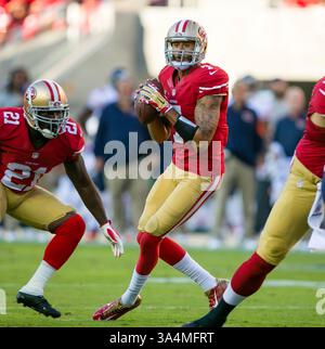 14. September 2014: San Francisco 49ers Quarterback Colin Kaepernick (7) in Aktion während des NFL-Fußballspiels zwischen den Chicago Bears und den San Francisco 49ers im Levi's Stadium in San Francisco, CA. Die Bears besiegten die 49ers mit 28:20. ©Damon Tarver/Cal Sport Media(Kreditbild: © Damon Tarver/Cal Sport Media/ZUMAPRESS.com) Stockfoto