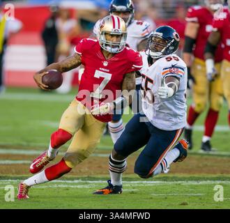 14. September 2014: San Francisco 49ers Quarterback Colin Kaepernick (7) in Aktion während des NFL-Fußballspiels zwischen den Chicago Bears und den San Francisco 49ers im Levi's Stadium in San Francisco, CA. Die Bears besiegten die 49ers mit 28:20. ©Damon Tarver/Cal Sport Media(Kreditbild: © Damon Tarver/Cal Sport Media/ZUMAPRESS.com) Stockfoto