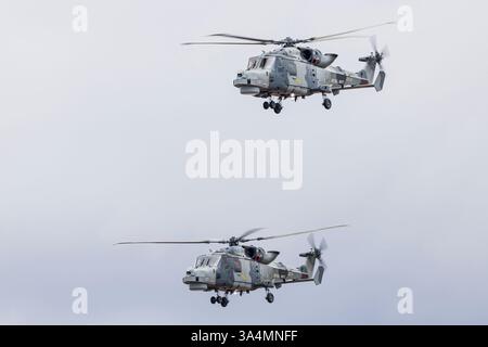 Black Cats Helicopter Display Team. Stockfoto