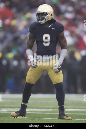 4. Oktober 2014: Notre Dame Linebacker Jaylon Smith (9) während des NCAA Football-Spiels zwischen den Notre Dame Fighting Irish und dem Stanford Cardinal im Notre Dame Stadium in South Bend, Indiana. Notre Dame besiegte Stanford 17:14. (Bild: © John Mersits/Cal Sport Media/ZUMAPRESS.com) Stockfoto