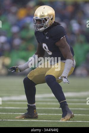 4. Oktober 2014: Notre Dame Linebacker Jaylon Smith (9) während des NCAA Football-Spiels zwischen den Notre Dame Fighting Irish und dem Stanford Cardinal im Notre Dame Stadium in South Bend, Indiana. Notre Dame besiegte Stanford 17:14. (Bild: © John Mersits/Cal Sport Media/ZUMAPRESS.com) Stockfoto