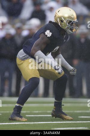 4. Oktober 2014: Notre Dame Linebacker Jaylon Smith (9) während des NCAA Football-Spiels zwischen den Notre Dame Fighting Irish und dem Stanford Cardinal im Notre Dame Stadium in South Bend, Indiana. Notre Dame besiegte Stanford 17:14. (Bild: © John Mersits/Cal Sport Media/ZUMAPRESS.com) Stockfoto