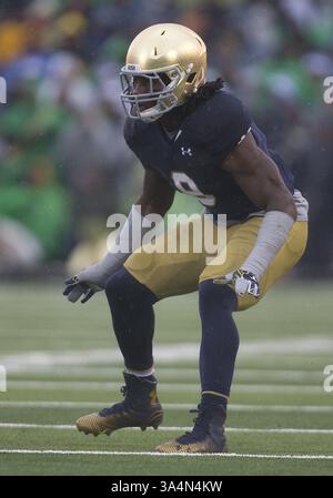4. Oktober 2014: Notre Dame Linebacker Jaylon Smith (9) während des NCAA Football-Spiels zwischen den Notre Dame Fighting Irish und dem Stanford Cardinal im Notre Dame Stadium in South Bend, Indiana. Notre Dame besiegte Stanford 17:14. (Bild: © John Mersits/Cal Sport Media/ZUMAPRESS.com) Stockfoto