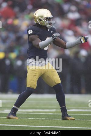 4. Oktober 2014: Notre Dame Linebacker Jaylon Smith (9) während des NCAA Football-Spiels zwischen den Notre Dame Fighting Irish und dem Stanford Cardinal im Notre Dame Stadium in South Bend, Indiana. Notre Dame besiegte Stanford 17:14. (Bild: © John Mersits/Cal Sport Media/ZUMAPRESS.com) Stockfoto