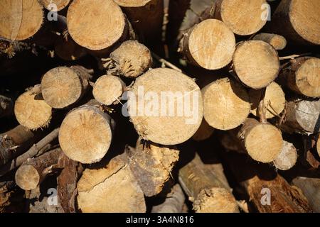 Protokoll-Stapel Stockfoto