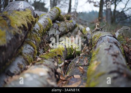 Protokoll-Stapel Stockfoto