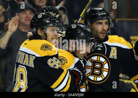 4. Oktober 2014: David Pastrnak (88) und Brad Marchand (63) von Boston Bruins feiern ein drittes Tor von Patrice Bergeron (37) während des NHL-Spiels zwischen den Boston Bruins und Detroit Red Wings im TD Garden. Detroit besiegte Boston 4-3 durch Schießerei. Anthony Nesmith/CSM(Bild: © Anthony Nesmith/Cal Sport Media/ZUMAPRESS.com) Stockfoto