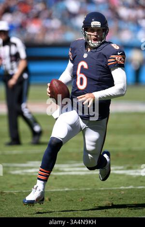 5. Oktober 2014: Chicago Bears Quarterback Jay Cutler #6 während des NFL-Fußballspiels zwischen den Chicago Bears und den Carolina Panthers im Bank of America Stadium in Charlotte, NC. (Bild: © Evan Pike/Cal Sport Media/ZUMAPRESS.com) Stockfoto