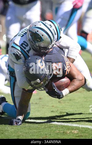5. Oktober 2014: Chicago Bears rennen Matt Forte #22 zurück und Chicago Bears starke Sicherheit Ryan Mundy #21 während des NFL-Fußballspiels zwischen den Chicago Bears und den Carolina Panthers im Bank of America Stadium in Charlotte, NC. (Bild: © Evan Pike/Cal Sport Media/ZUMAPRESS.com) Stockfoto