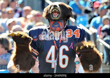 5. Oktober 2014: Chicago Bears Fans beim NFL-Fußballspiel zwischen den Chicago Bears und den Carolina Panthers im Bank of America Stadium in Charlotte, NC. (Bild: © Evan Pike/Cal Sport Media/ZUMAPRESS.com) Stockfoto