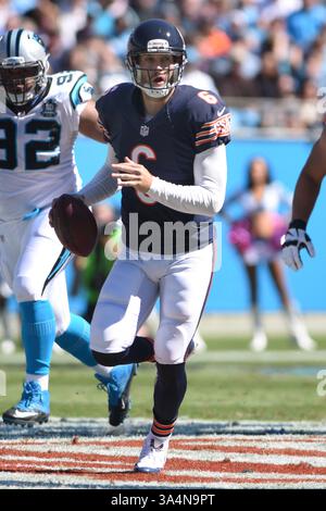 5. Oktober 2014: Chicago Bears Quarterback Jay Cutler #6 während des NFL-Fußballspiels zwischen den Chicago Bears und den Carolina Panthers im Bank of America Stadium in Charlotte, NC. (Bild: © Evan Pike/Cal Sport Media/ZUMAPRESS.com) Stockfoto