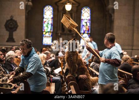 5. Oktober 2014 - Minneapolis, MN, USA - Rosie, ein Golden Retriever im Besitz von Margo Martin von Elk River, schnüffelt während des Segens der Tiere in der Basilika Saint Mary in Minneapolis am 5. Oktober 2014 einen Opferkorb. (Kreditbild: © Courtney Perry/MCT/ZUMA Wire) Stockfoto