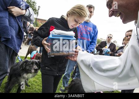 5. Oktober 2014 - Minneapolis, MN, USA - Johan Van Parys, rechts, Direktor für Liturgie und Heilige Künste, segnet eine Tarantel namens Zimt, die Lauren Bies, 11, von New Hope gehört, beim Segen der Tiere in der Basilika Saint Mary in Minneapolis am 5. Oktober 2014. (Kreditbild: © Courtney Perry/MCT/ZUMA Wire) Stockfoto