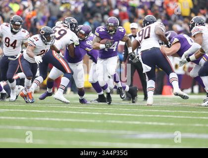 28. Dezember 2014: Minnesota Vikings Running Back Matt Asiata (44) findet während eines Spiels zwischen den Chicago Bears und den Minnesota Vikings im TCF Bank Stadium in Minneapolis, Minnesota, Laufraum. Die Wikinger besiegten die Bears 13–9. (Bild: © Andy Blenkush/Cal Sport Media/ZUMAPRESS.com) Stockfoto