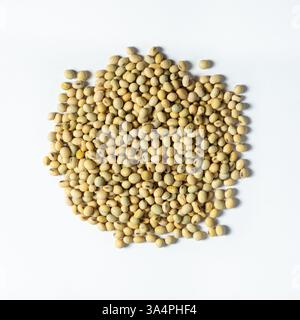 Rohe Sojabohnen, verstreut auf weißem Hintergrund, Draufsicht. Stockfoto
