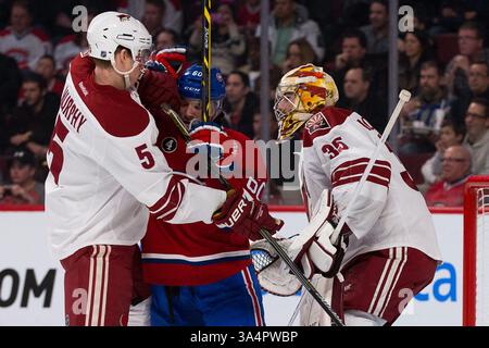 1. FEBRUAR 2015: Connor Murphy #5 der Arizona Coyotes und Christian Thomas #60 der Montreal Canadiens kämpfen im Bell Centre in Montreal, Quebec, Kanada um die Position vor dem Netz. Die Arizona Coyotes besiegten die Montreal Canadiens mit 3:2. Philippe Bouchard/CSM(Bild: © Philippe Bouchard/Cal Sports Med/Cal Sport Media/ZUMAPRESS.com) Stockfoto