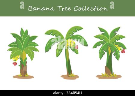 Bananenbaumkollektion in einem anderen Stil. Vektorabbildung. Stock Vektor