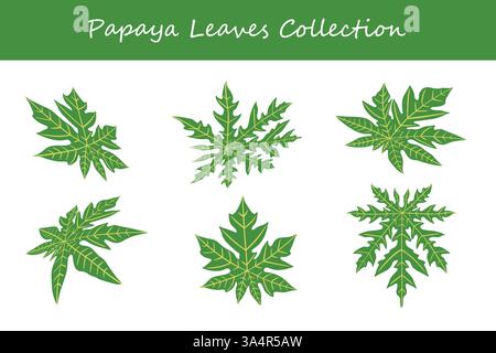 Papaya-Blätter-Kollektion in einem anderen Stil. Vektorabbildung. Stock Vektor