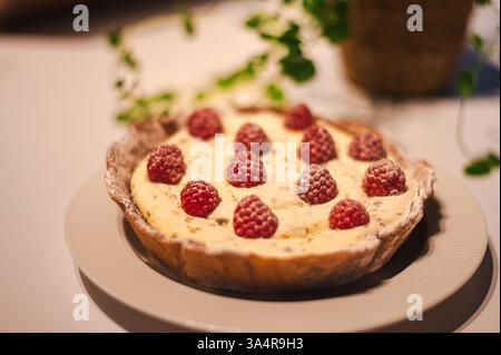 Hausgemachter Käsekuchen mit frischen Himbeeren und Minze-gesunder Bio-Sommer Dessert Pie Cheesecake. Stockfoto