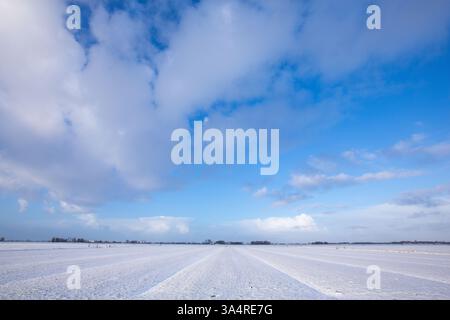 Eine verschneite Winterlandschaft mit Schnee bedeckt die Felder im dezember an einem kalten und gefrorenen Morgen bei Sonnenaufgang mit hellem Sonnenlicht Stockfoto