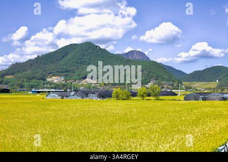 Damyang County, Südkorea - 23. September 2020: Ein Blick auf den Jeonggak Berg mit seinen üppig grünen Hängen, die in Richtung Damyang Dam führen, umgeben von Gol Stockfoto