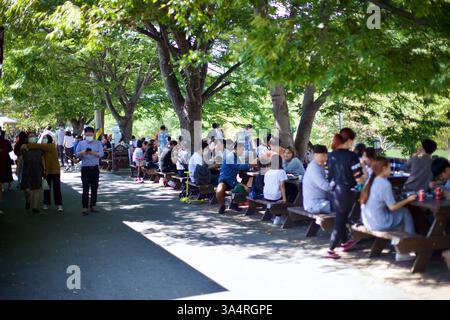 Damyang County, Südkorea - 24. September 2020: Die Menschen genießen ihre Mahlzeiten an schattigen Picknicktischen entlang der Damyang Noodle Street, bekannt für ihre traditionelle Ko Stockfoto