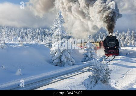 Verschneite Winterlandschaft mit verschneiten Fichtenwäldern, die Brockenbahn zum Gipfel des Brocken, Nationalpark Harz, Sachsen Stockfoto