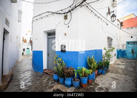 Typische Gasse der Medina, Asilah, Marokko, Nordafrika Stockfoto
