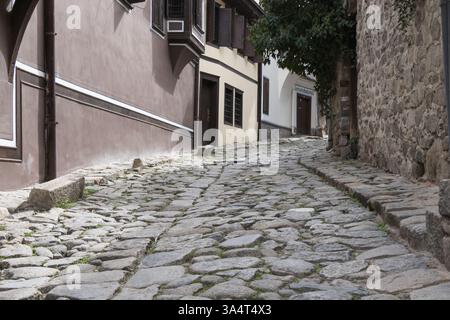 Ein bezaubernder Kopfsteinpflasterweg schlängelt sich zwischen traditionellen Gebäuden, die von Laubbäumen beschattet werden. Die ruhige Gasse verströmt ein friedliches Ambiente, perfekt für lei Stockfoto