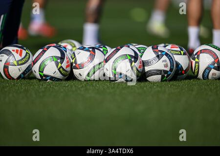Mailand, Italien. März 2025. Training Ball UEFA NATIONS LEAGUE 2025 während einer Trainingssitzung in Italien im BPER Training Centre Appiano Gentile am 19. März 2025 in Como, Italien Credit: Independent Photo Agency/Alamy Live News Stockfoto