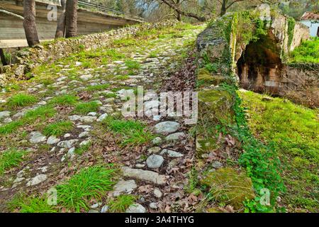 Alte Steinbrücke bedeckt mit Vegetation in Apokoronas, Kreta, Griechenland. Ein historischer Pfad, umgeben von Grün, mit traditioneller Architektur Stockfoto