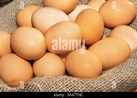 Korb mit frischen braunen Eiern auf Sackleinen im Freien – natürliches rustikales Osterkonzept Stockfoto